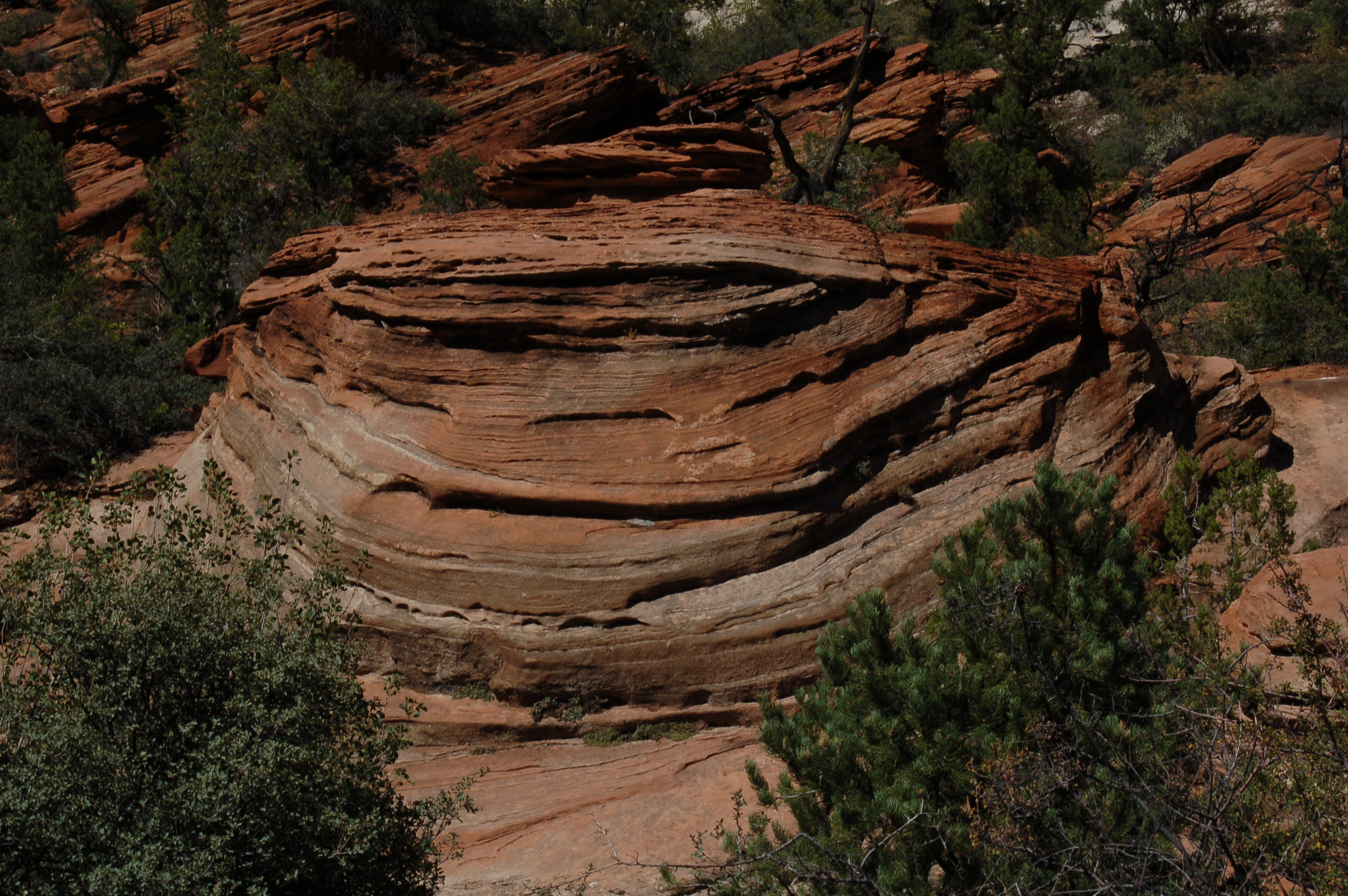 Zion Natl Park
